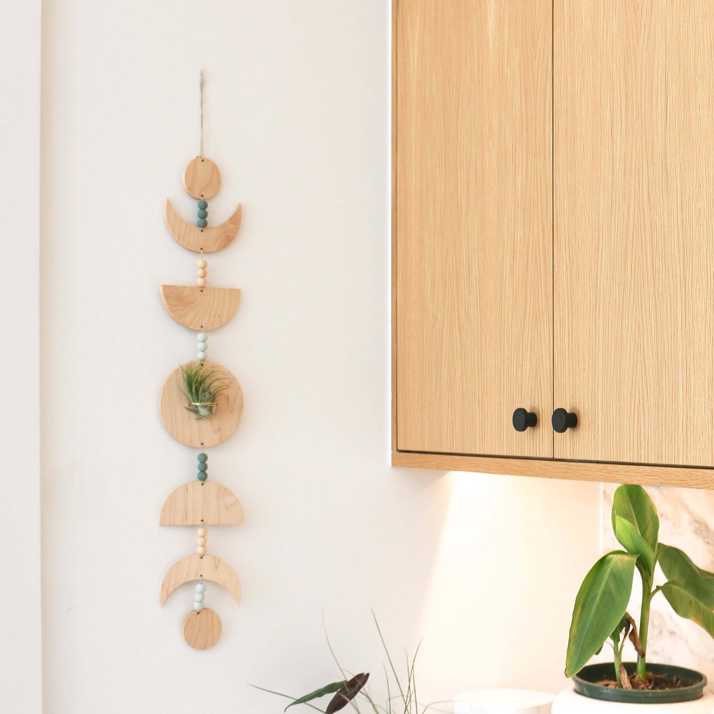 Eco-friendly Maple Moon Phases Air Plant Holder