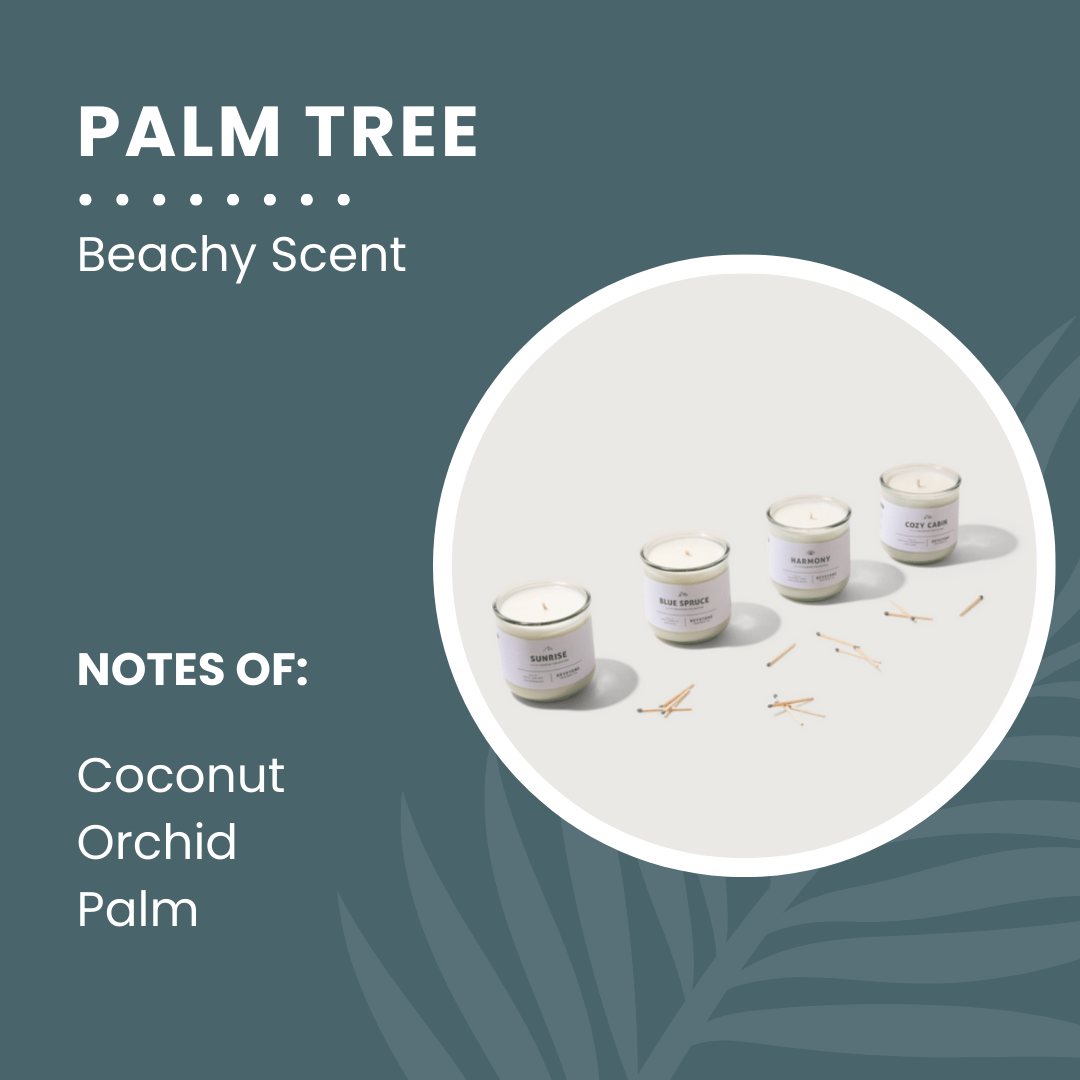 coconut and palm candle Palm Tree | Coastal Collection