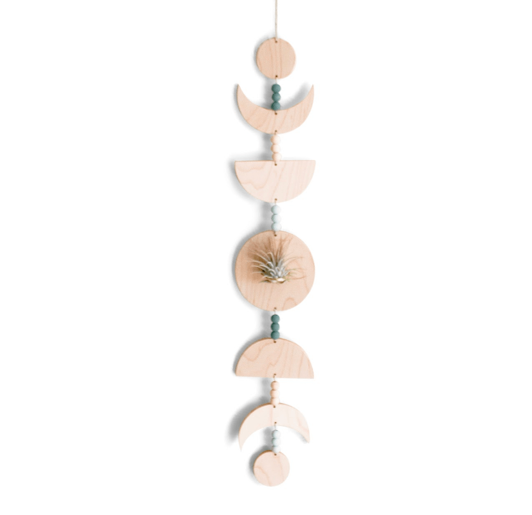 moon plant hanger Maple Moon Phases Air Plant Holder