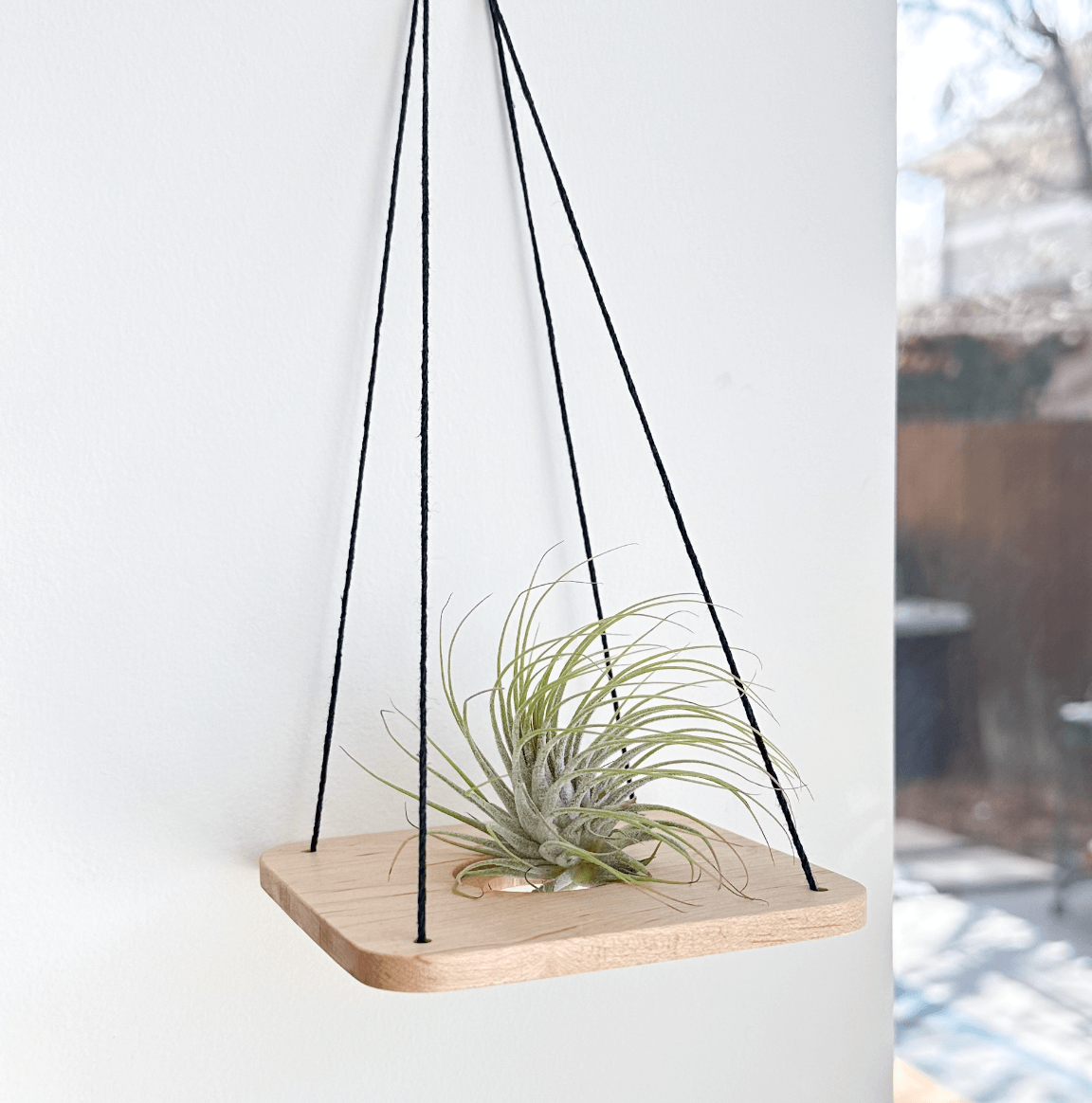 wood air plant holder Maple Air Plant Swing Medium