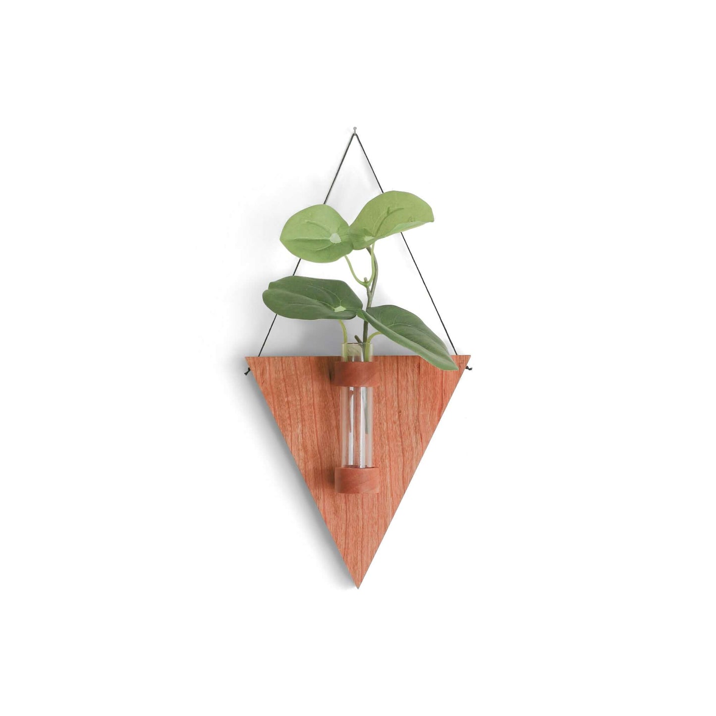 hanging plant propagation station Cherry Triangle Propagation Station – Keystone Inspired Co