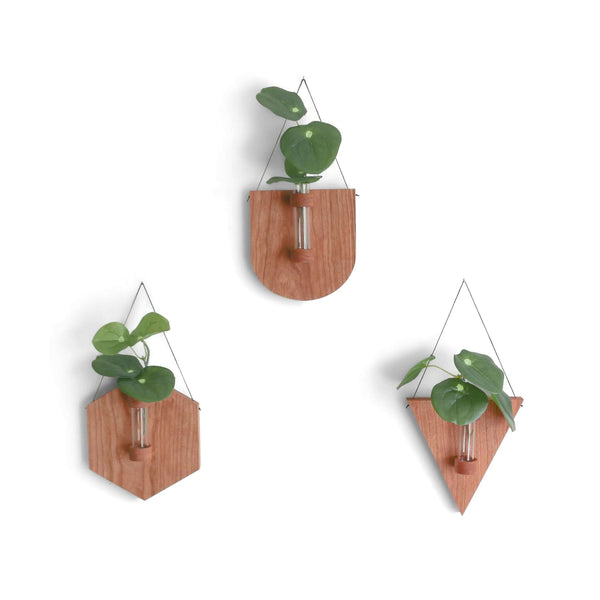 hanging plant propagation station Cherry Propagation Station Trio – Keystone Inspired Co