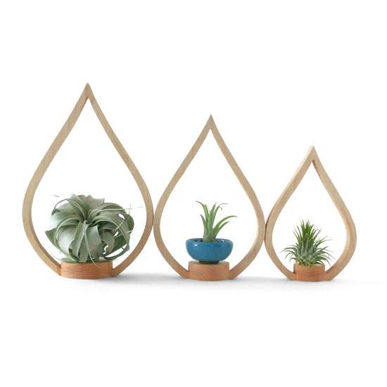 Eco-friendly Maple Flame Tabletop Plant Holder