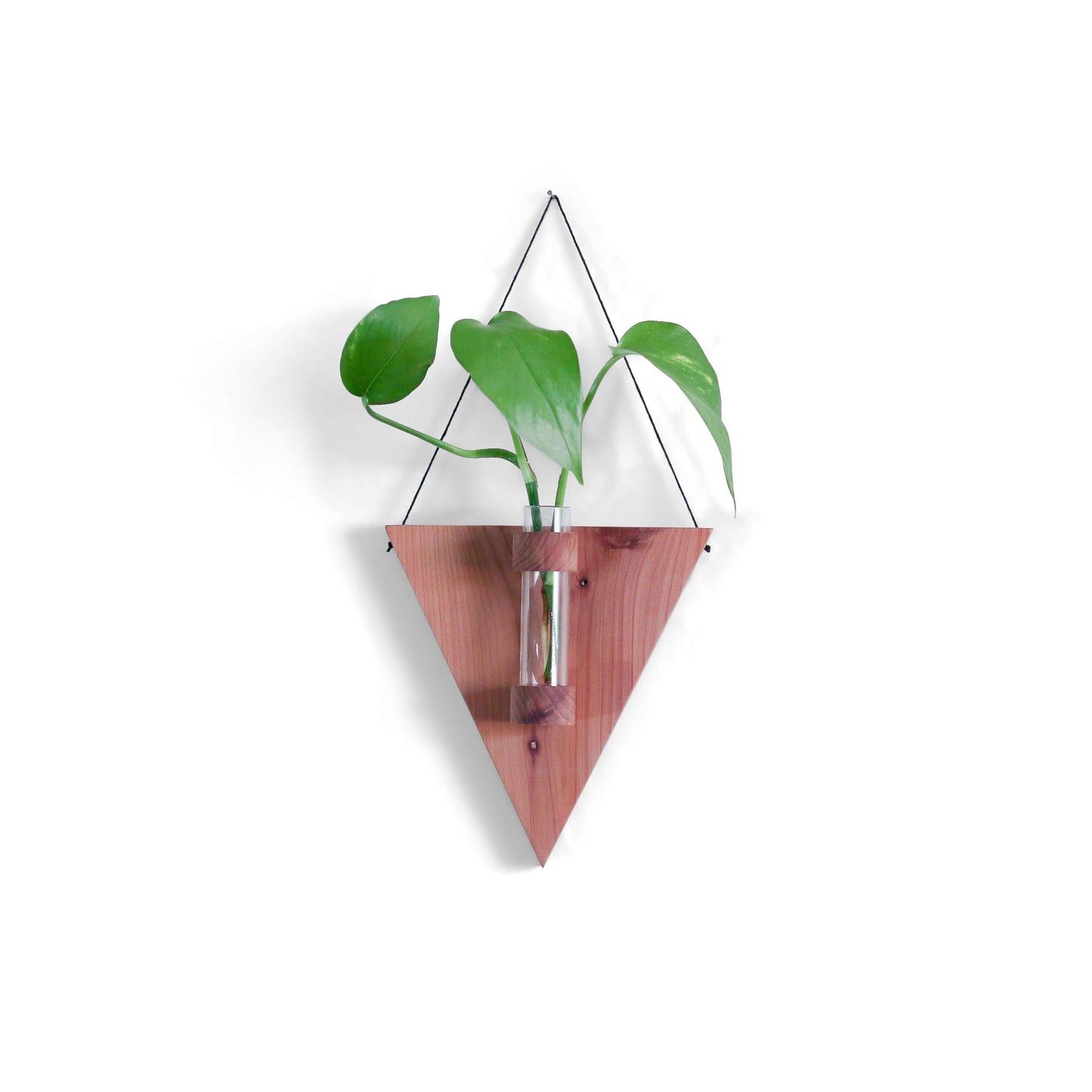 triangle plant hanger Cedar Triangle Propagation Station – Keystone Inspired Co