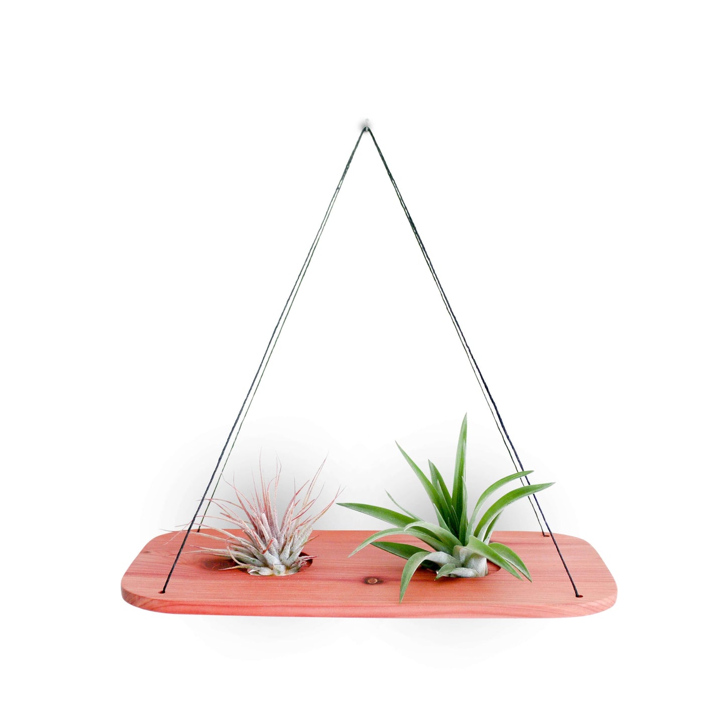 swing plant hanger Cedar Air Plant Swing Medium