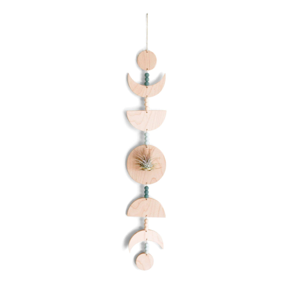 
                      
                        Eco-friendly Maple Moon Phases Air Plant Holder
                      
                    