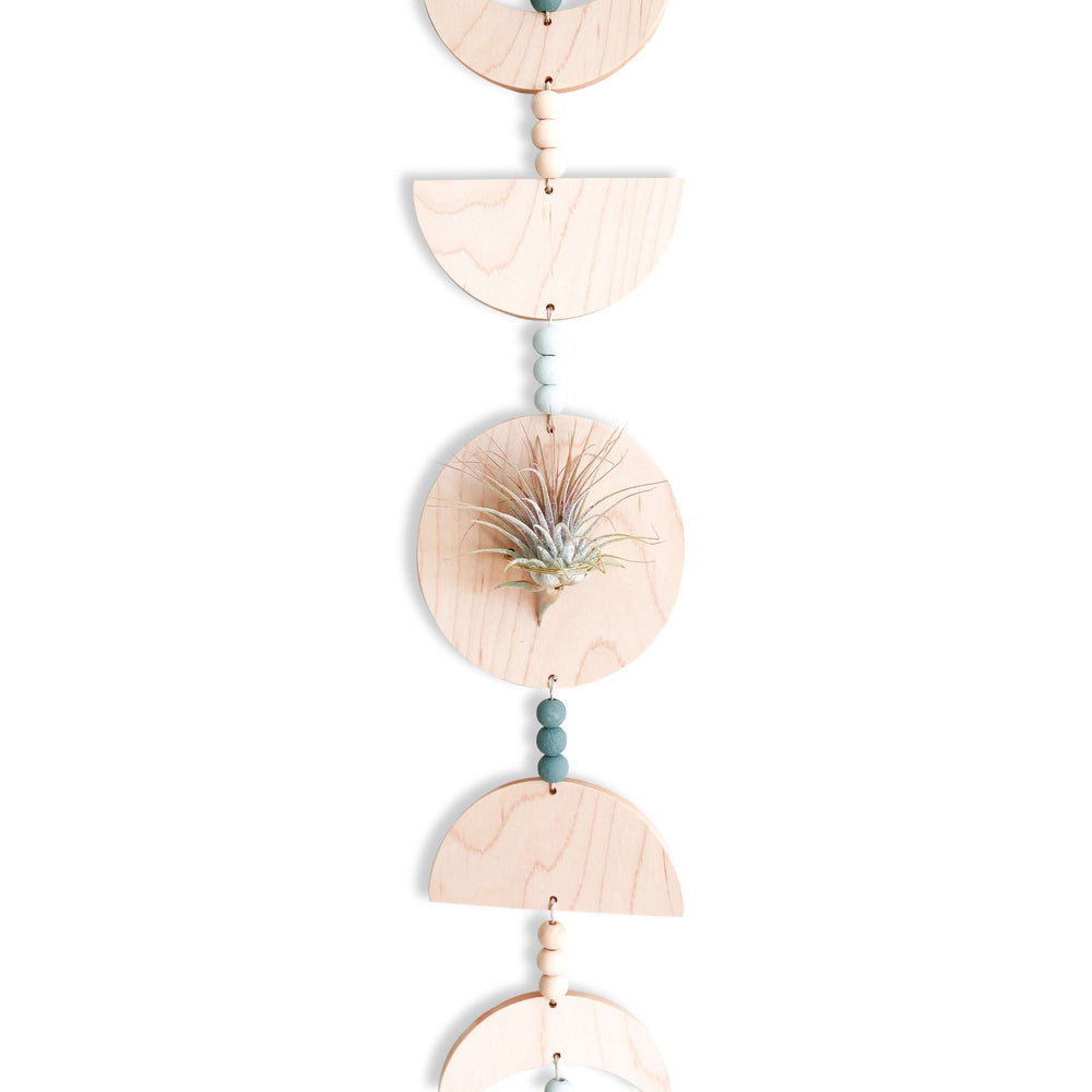 
                      
                        Eco-friendly Maple Moon Phases Air Plant Holder
                      
                    