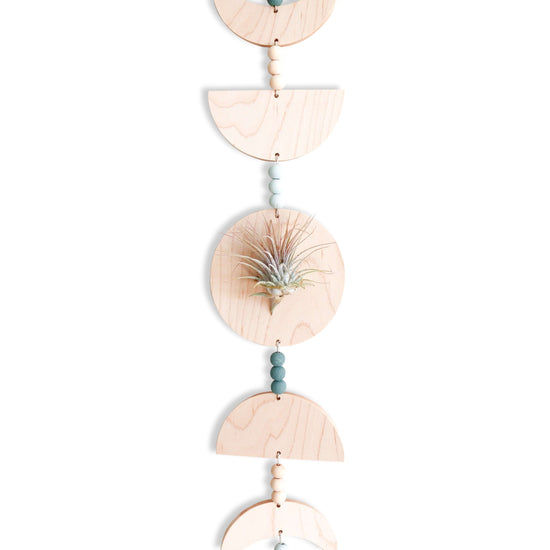 Load image into Gallery viewer, Maple Moon Phases Air Plant Holder

