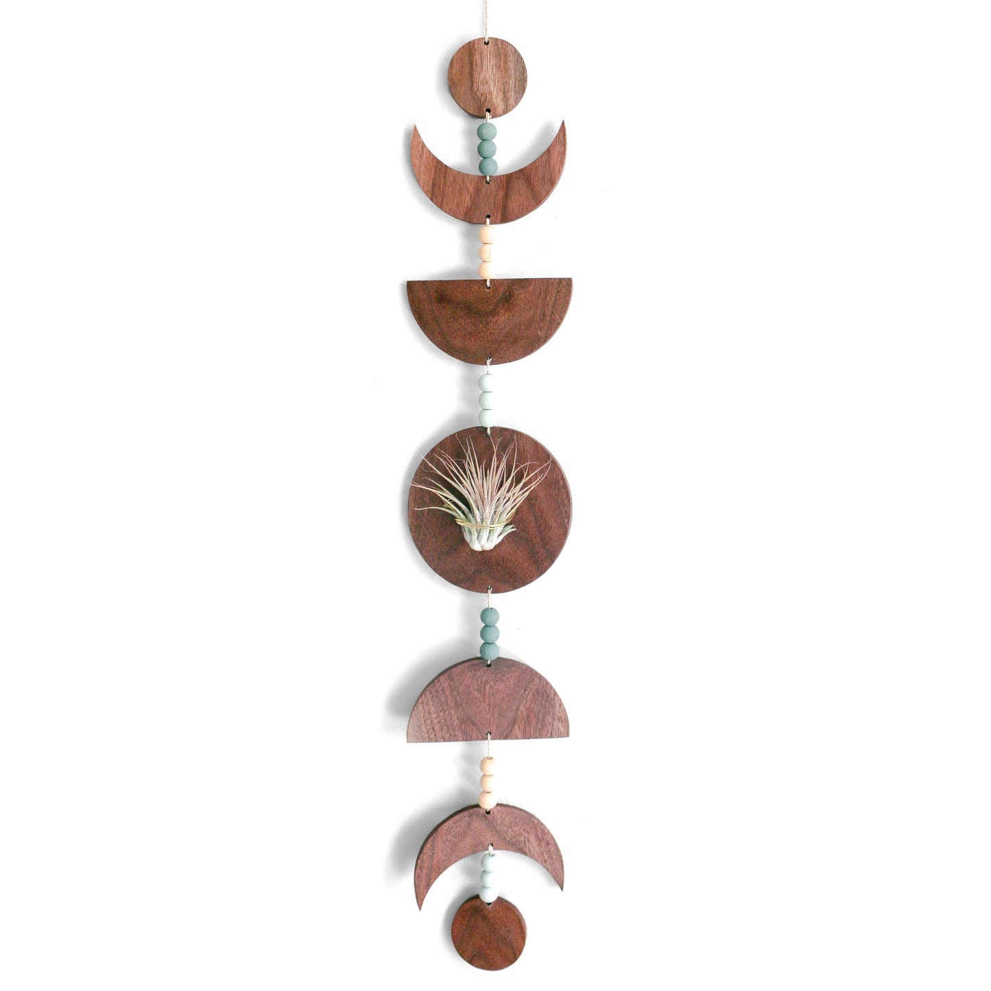 moon plant hanger Walnut Moon Phases Air Plant Holder – Keystone Inspired Co