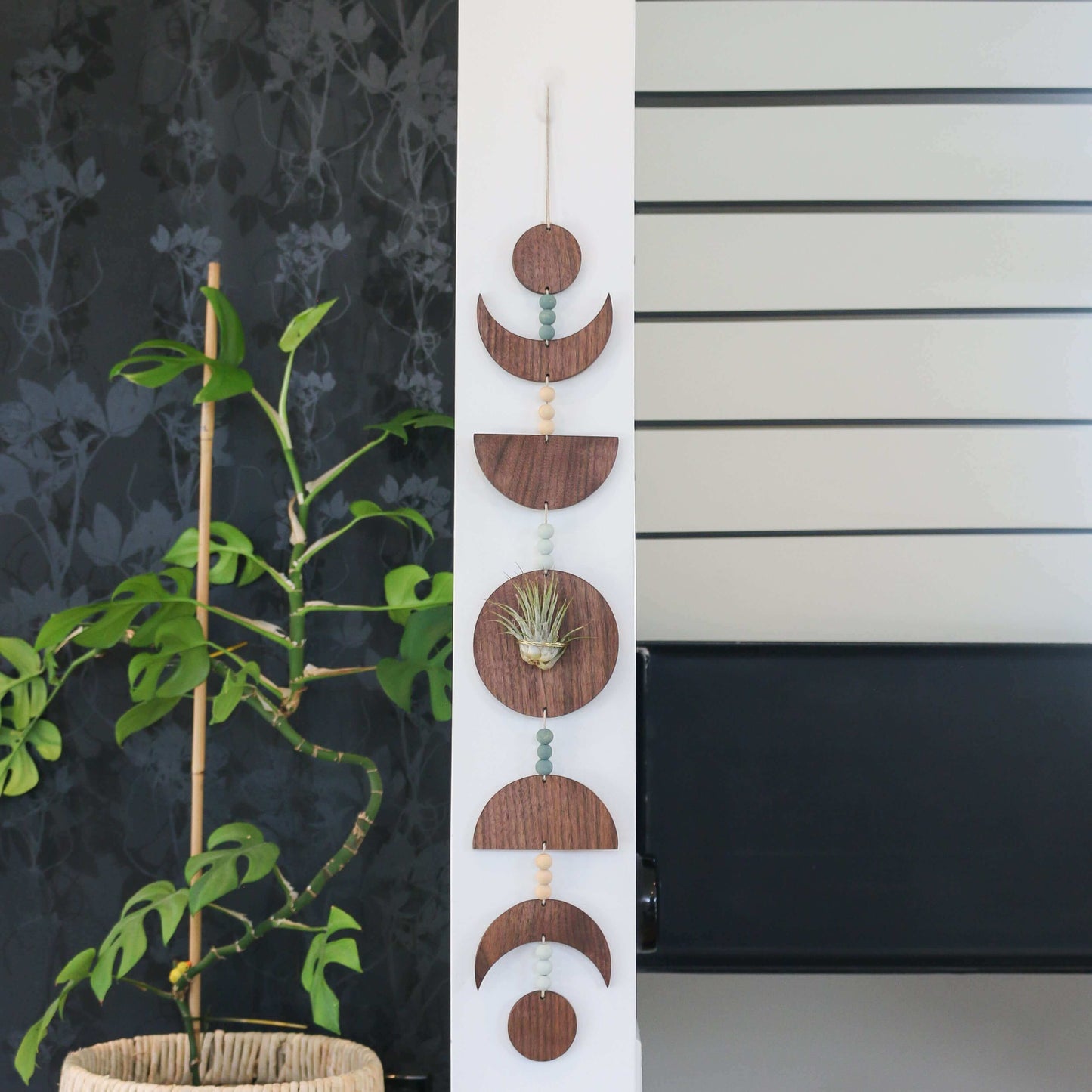 moon plant hanger Walnut Moon Phases Air Plant Holder – Keystone Inspired Co