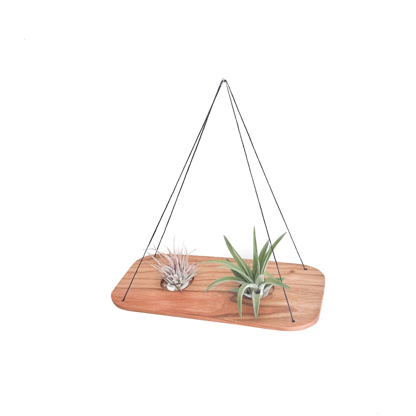 Eco-friendly hanging Cherry Air Plant Swing