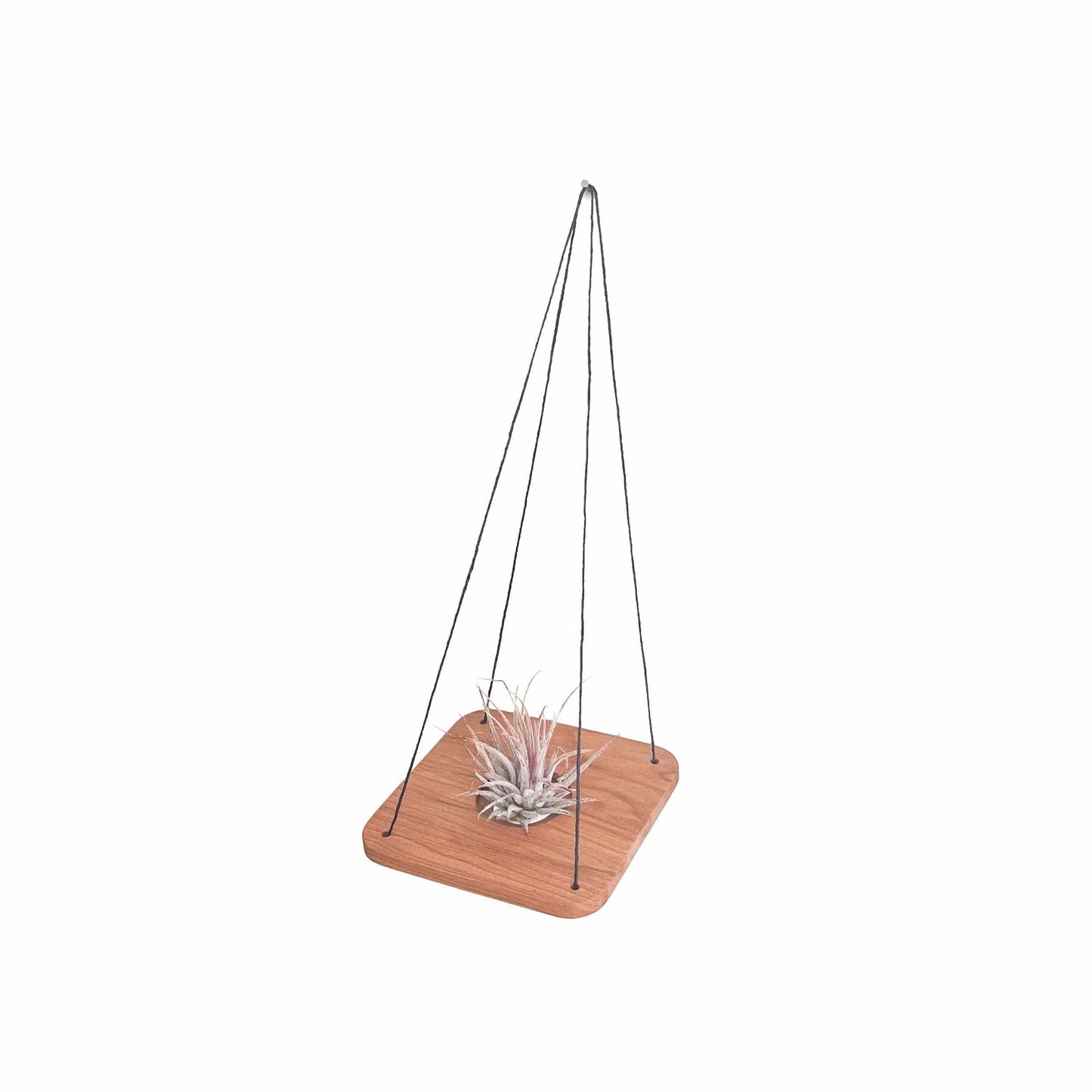 swing out plant hanger Cherry Air Plant Swing Medium
