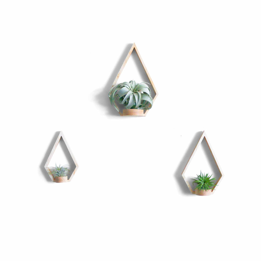 Eco-friendly Maple Diamond Wall Plant Holder