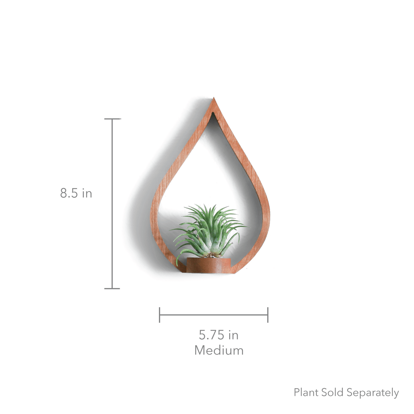 Eco-friendly Cherry Flame Wall Plant Holder