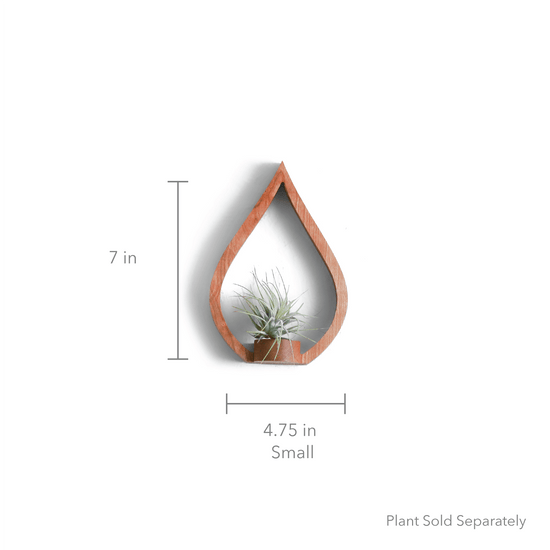 Eco-friendly Cherry Flame Wall Plant Holder