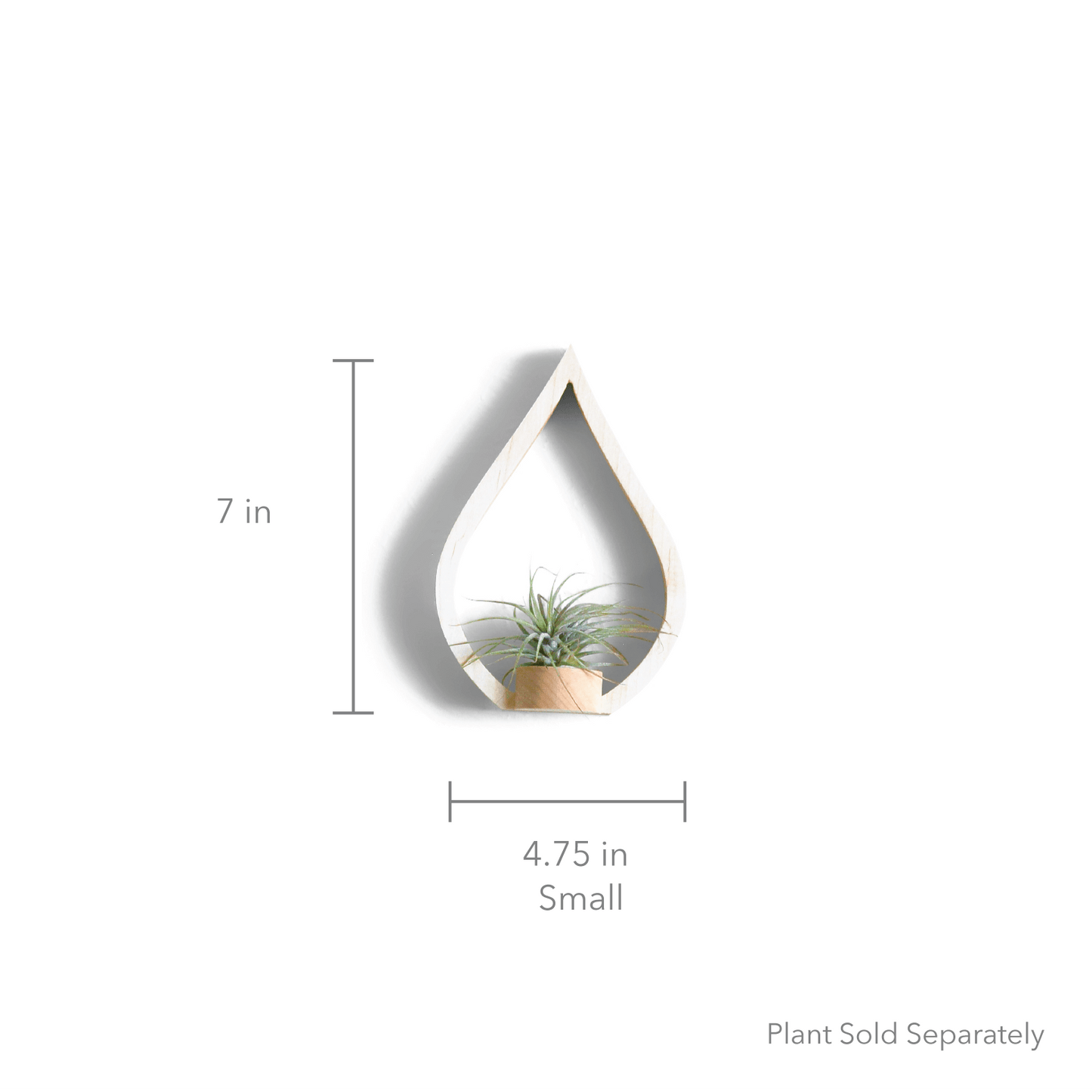 Eco-friendly Maple Flame Wall Plant Holder