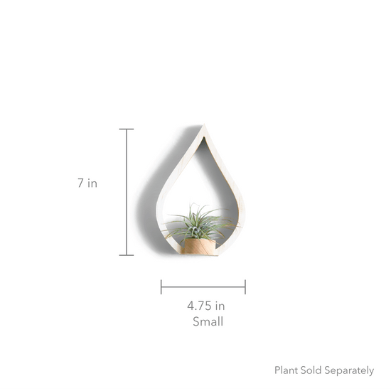 Eco-friendly Maple Flame Wall Plant Holder