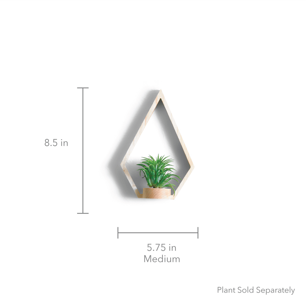 
                      
                        Eco-friendly Maple Diamond Wall Plant Holder
                      
                    