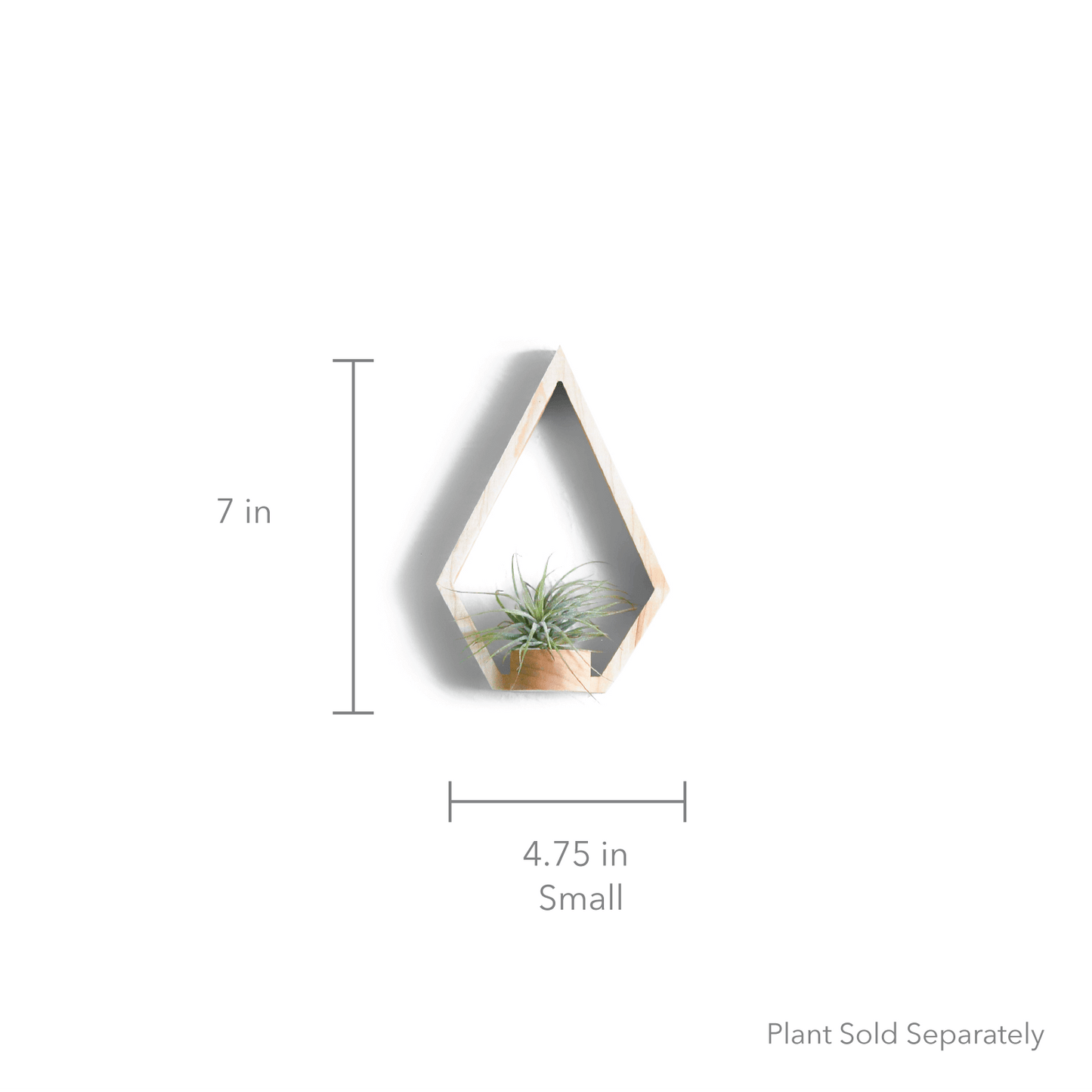 Load image into Gallery viewer, Maple Diamond Wall Plant Holder