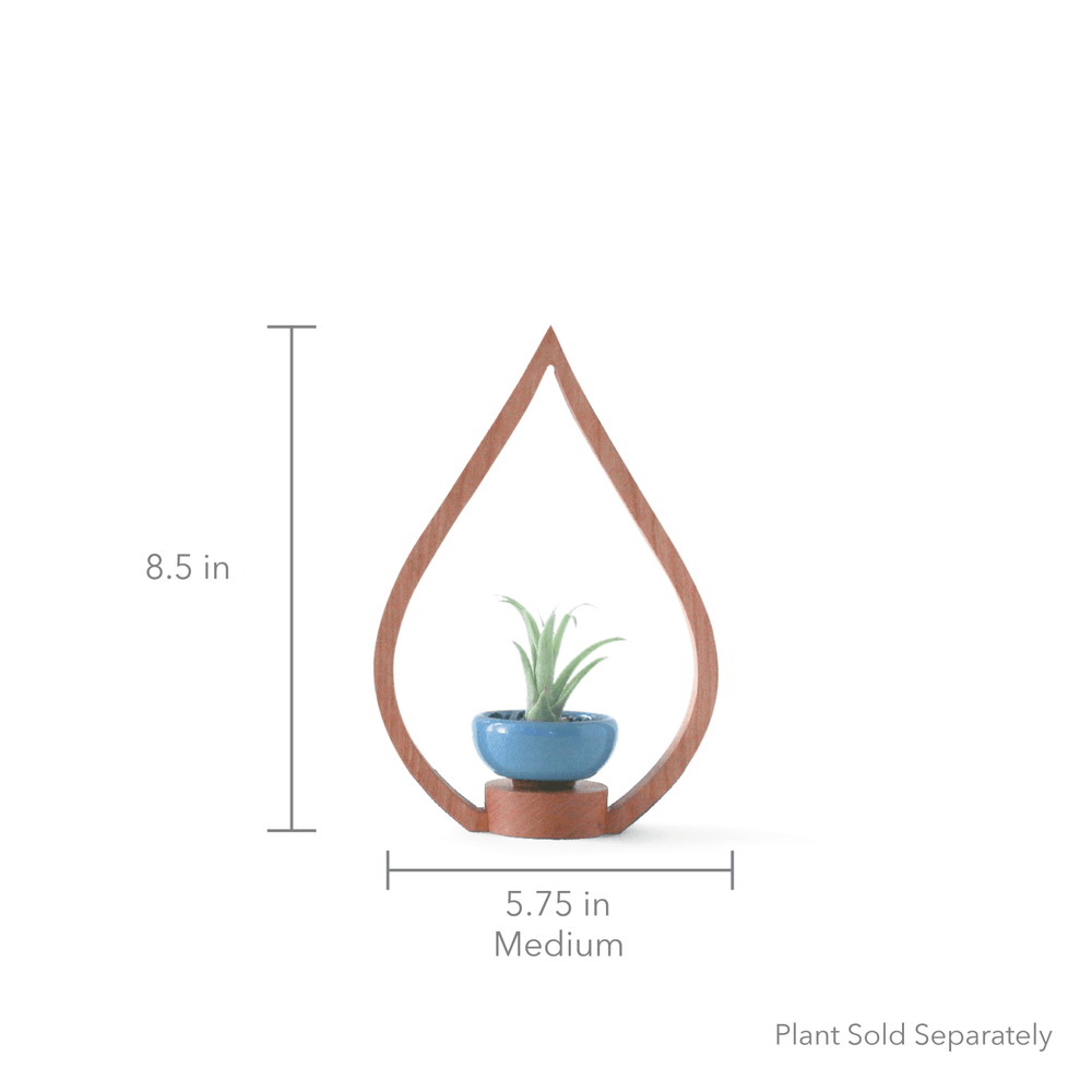 
                      
                        Eco-friendly Cedar Flame Tabletop Plant Holder
                      
                    