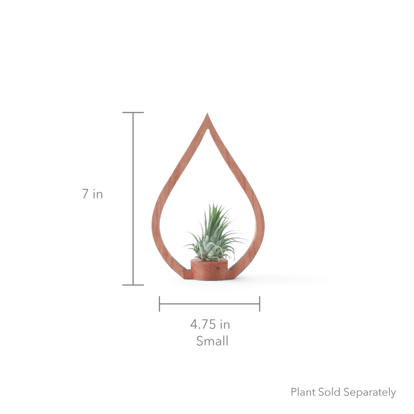 Eco-friendly Cherry Flame Tabletop Plant Holder
