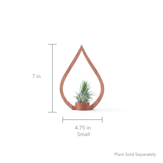 Eco-friendly Cherry Flame Tabletop Plant Holder