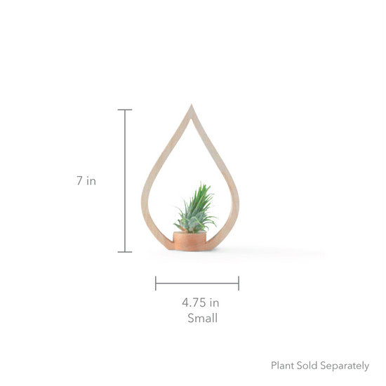 Load image into Gallery viewer, Maple Flame Tabletop Plant Holder
