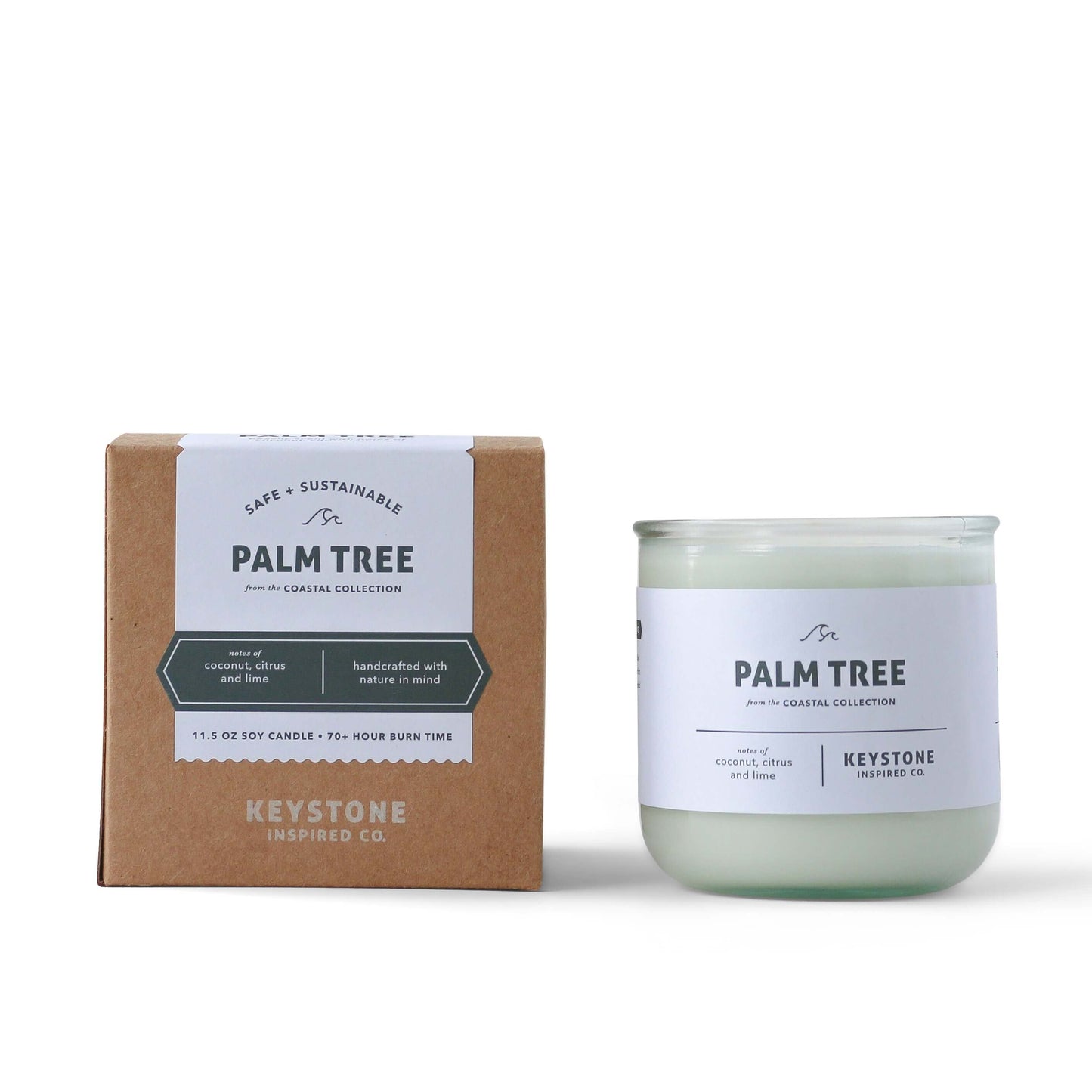 Eco-friendly Palm Tree | Coastal Collection | 11.5 oz glass candle