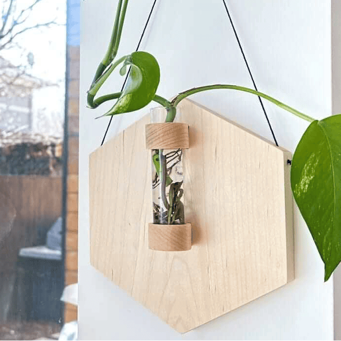 A hanging plant pot made from a hexagonal light wood plaque with a clear glass vial containing dried botanicals, suspended by black cords. A green plant with large leaves is growing in the pot, shown against an indoor white wall with a window reflection visible on the left side.
