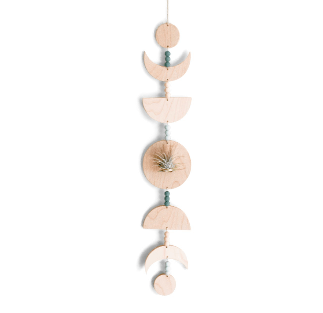 Eco-friendly Maple Moon Phases Air Plant Holder