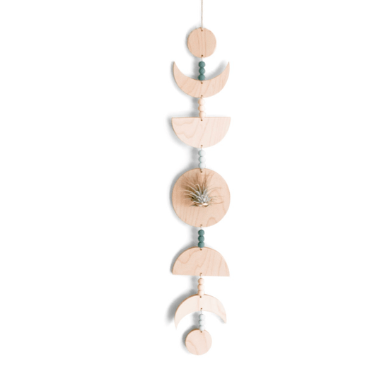 Maple Moon Phases Air Plant Holder