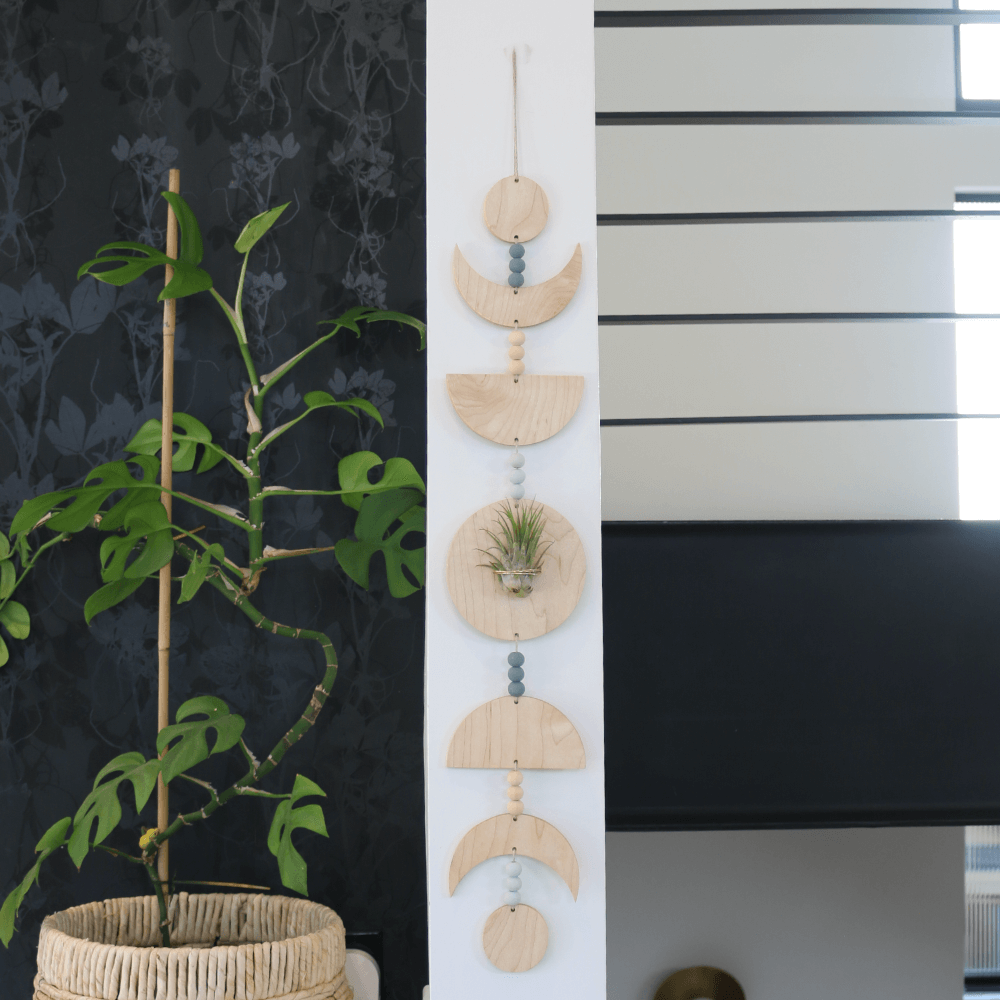 
                      
                        Maple Moon Phases Air Plant Holder
                      
                    