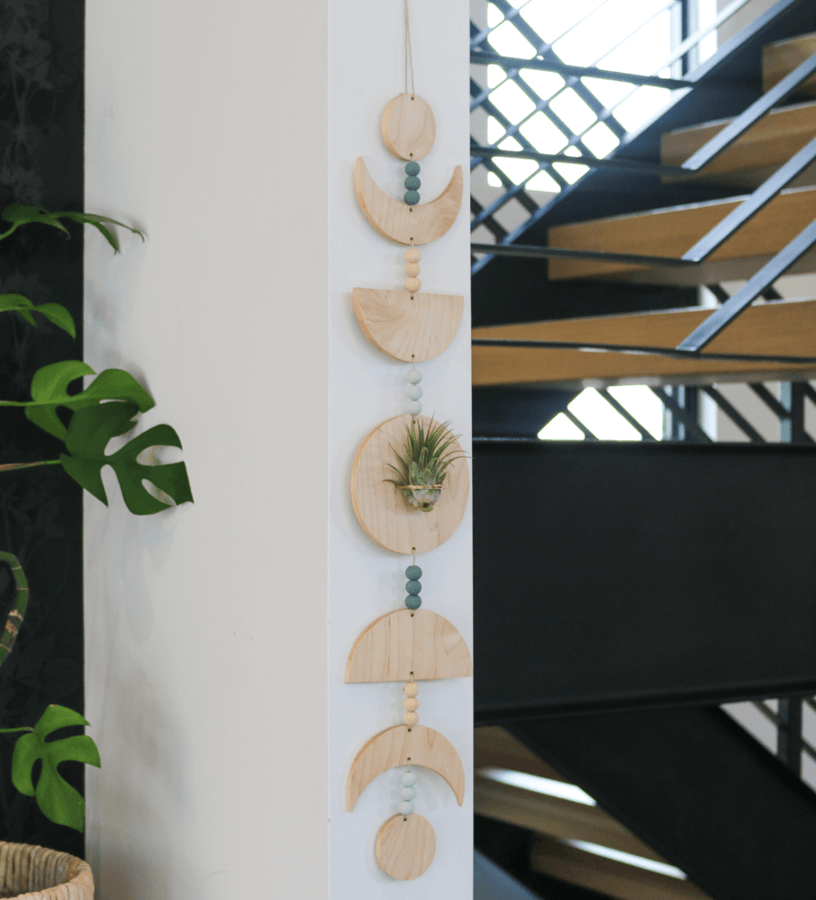 
                      
                        Maple Moon Phases Air Plant Holder
                      
                    